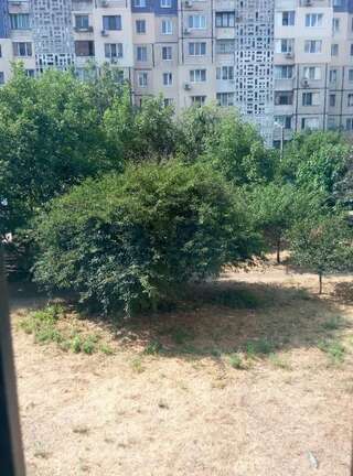 Апартаменты Cozy Apartments on Nevskogo Одесса Апартаменты с 2 спальнями-63